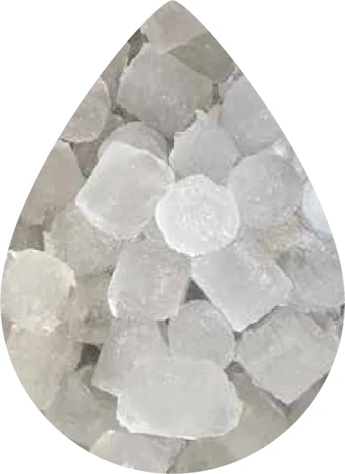Chewbit ice — soft chewable nugget alternative
