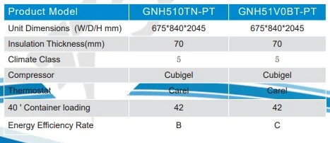 COUNTERS WITH SINK/GNH 2100TNKB technical data table